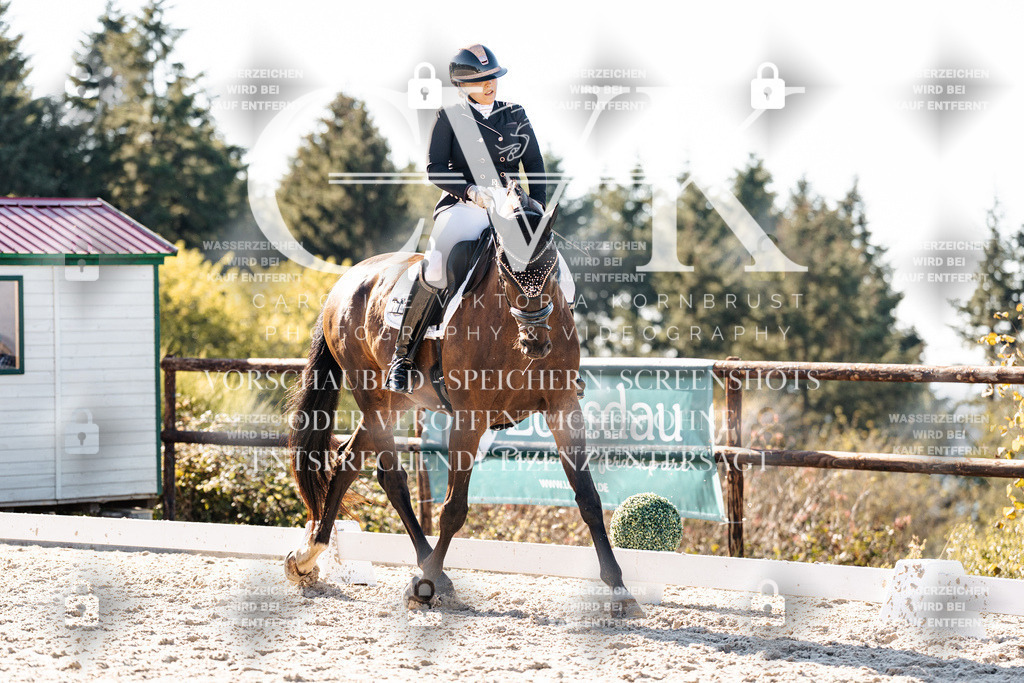 CK906107 | Turnierfotografie Pferdefotografie Trier Rheinland-Pfalz Pferdesport Reitsport Tierfotografie Sportfotografie Pferdevideo Pferdevideografie Equestrianvideography equestrianphotography  - Realisiert mit Pictrs.com