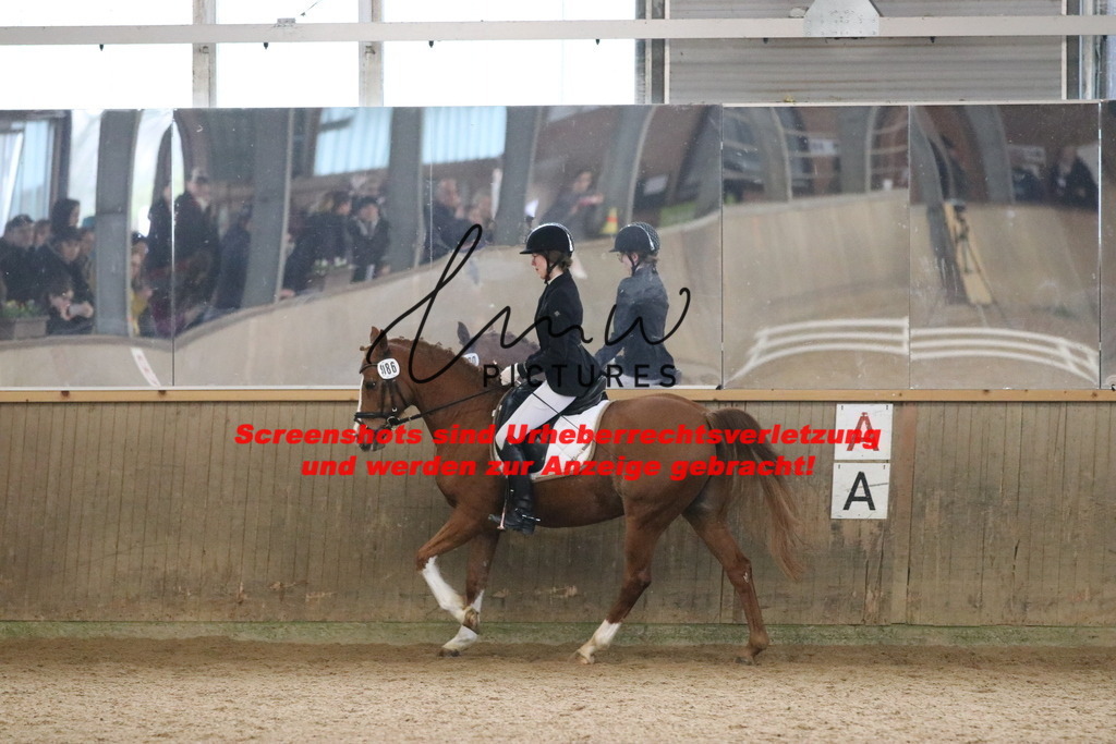 IMG_4284 | lmwpictures - Realisiert mit Pictrs.com