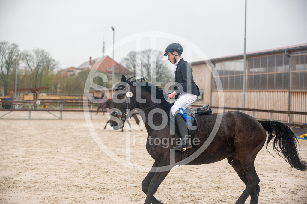 DSC_3914 | sattelsport - Realisiert mit Pictrs.com