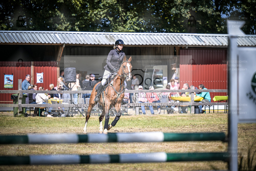 DOS_1007 | Entdecke hochwertige Reitturnierfotos von Foto Oger. Professionell, emotional und authentisch – jetzt Lieblingsmomente im Shop bestellen. - Realisiert mit Pictrs.com