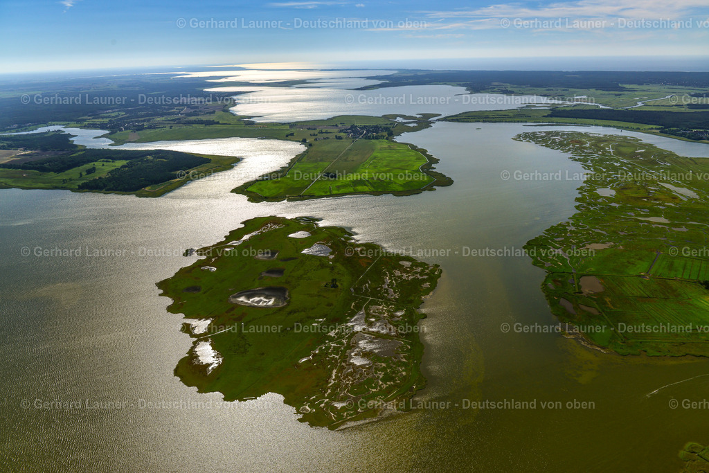3638203 | Nationalpark Vorpommersche Boddenlandschaft, ZINGST 25.08.2016 Salzgrasland- Insel und Vogelschutz- Gebiet in Zingst an der Ostseeküste im Bundesland Mecklenburg-Vorpommern, Deutschland.