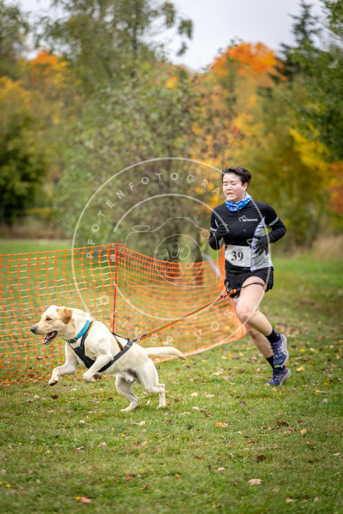 Pfotenfotografie_DV3A2279 | Hundefotografie, Tierfotograf, Pfotenfotografie, Fotoshooting Hund, Hunde Portrait, Hundesport, Hundeportraits, Heideshooting, Hunde, Sportfotograf, Hundefotograf, Turnierhundsport, THS,  - Realisiert mit Pictrs.com