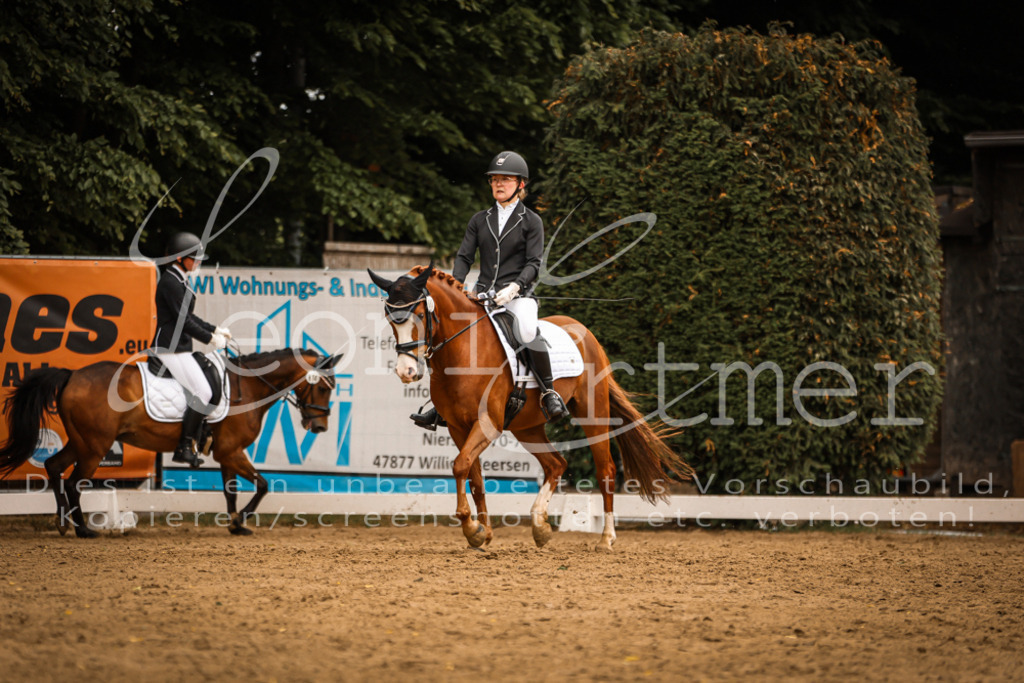 DoDrE00511 | Leoni Ertmer Photography - Realisiert mit Pictrs.com