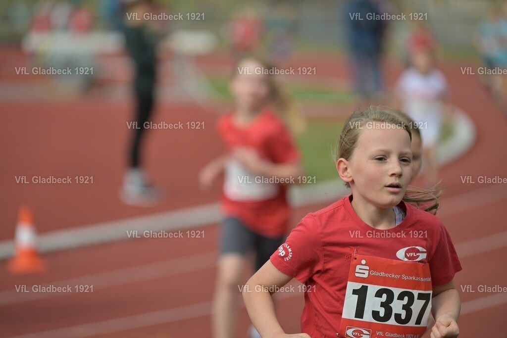 2026-08-23_Sparkassenlauf_1K5_KHT_00115 | Die Fotografen - Realisiert mit Pictrs.com