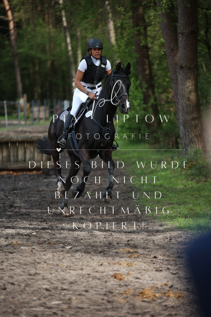 IMGT1918 | pl-fotografie