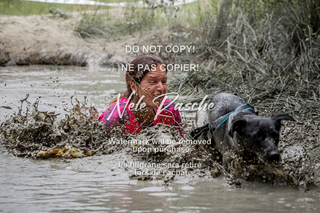 nelerasche_so1330-1400_402 | nelerasche