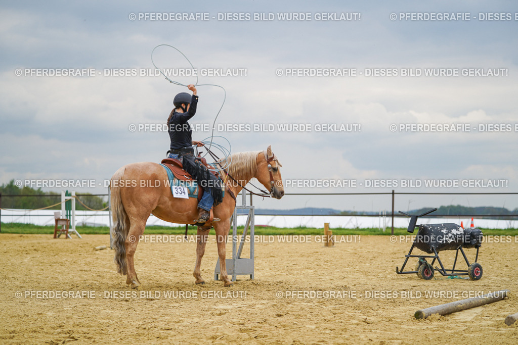 DSC07220 | Pferdegrafie