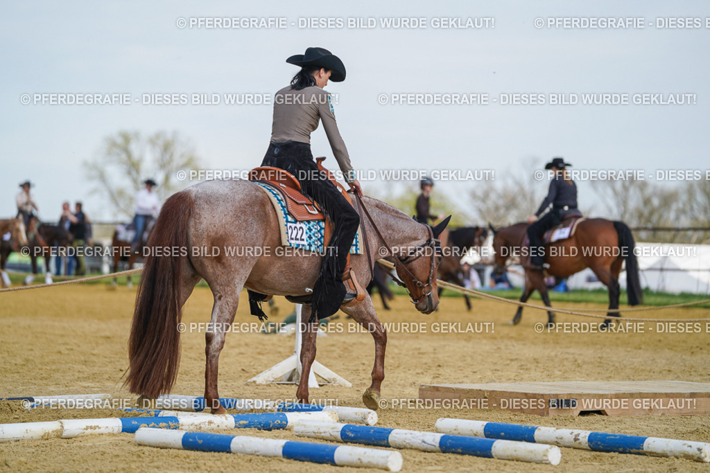 DSC04844 | Pferdegrafie