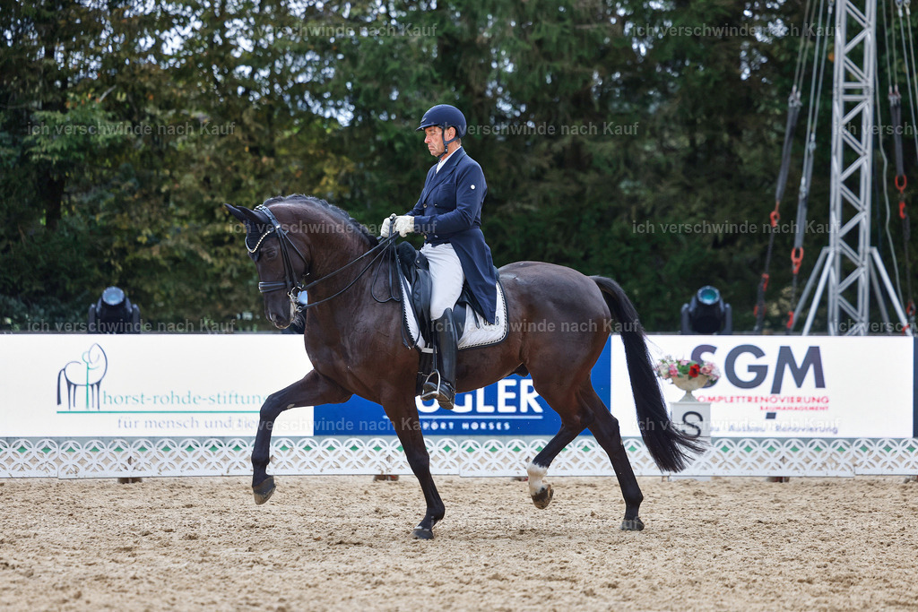 12-058-DRESSUR  S___  -StoibPH-5366 | working equitationturnier fotograf videograf stoibphotography marixx film working equitation deutschland reitsport turnierfotografie eventfotografie equestrian events