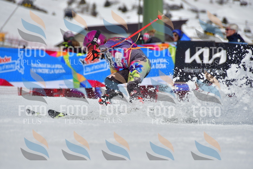 _DSC7379 | holidayphoto