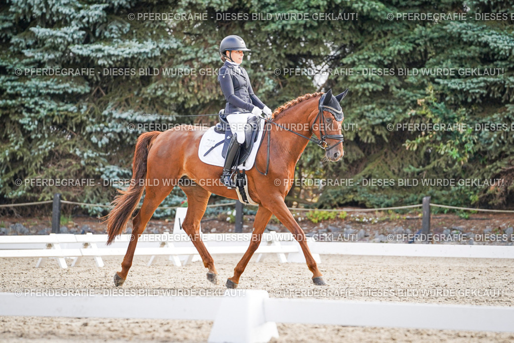 DSC00676 | Pferdegrafie