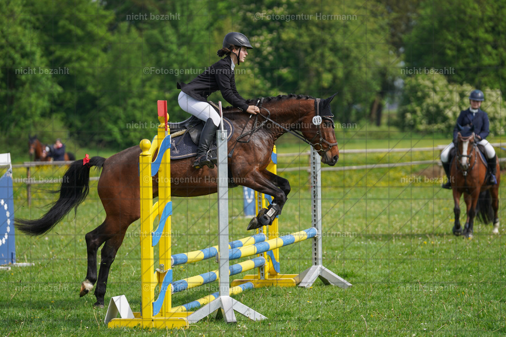20240509-FAH02217 | Turnierbilder der Turnierfotografen Bayern, Pferdesport Fotografie, Reitsportbilder, Turnier Landberg am Lech, Turnierbilder bayern, Fotoagentur Herrmann