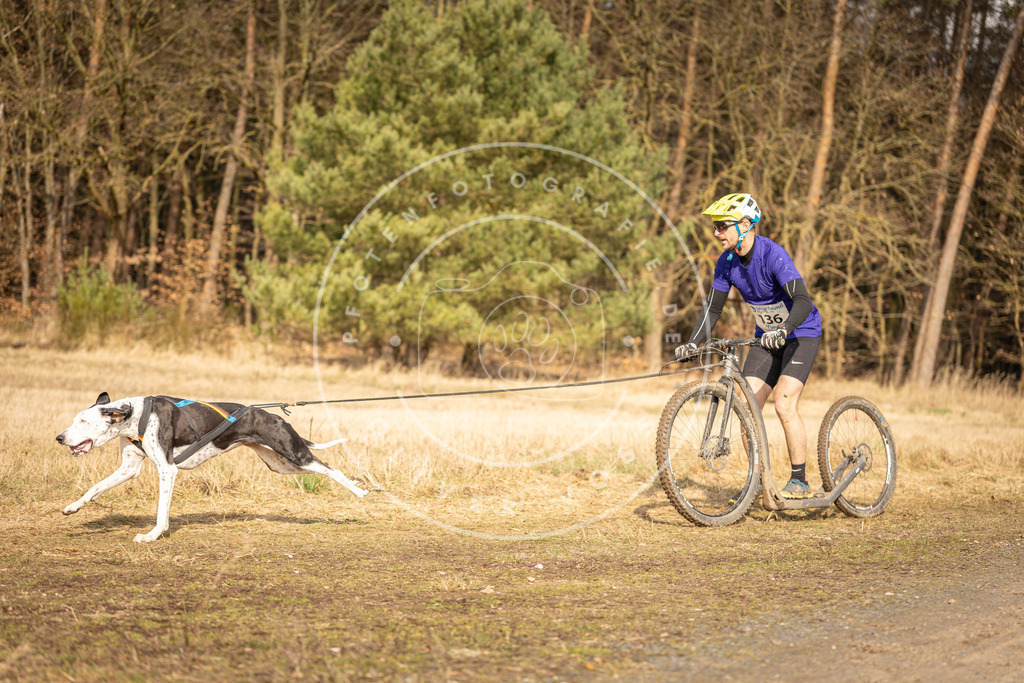 DV3A4697 | Hundefotografie, Tierfotograf, Pfotenfotografie, Fotoshooting Hund, Hunde Portrait, Hundesport, Hundeportraits, Heideshooting, Hunde, Sportfotograf, Hundefotograf, Turnierhundsport, THS,  - Realisiert mit Pictrs.com
