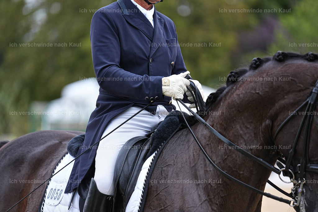 11-058-Dressur S___-Marixx-1485 | working equitationturnier fotograf videograf stoibphotography marixx film working equitation deutschland reitsport turnierfotografie eventfotografie equestrian events