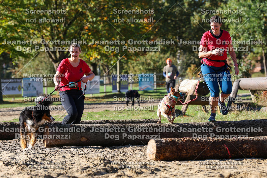 Dog Paparazzi - Strongdog 10-25-2204 | Dog Paparazzi Jeanette Grottendiek Fotografie & Videografie - Realisiert mit Pictrs.com