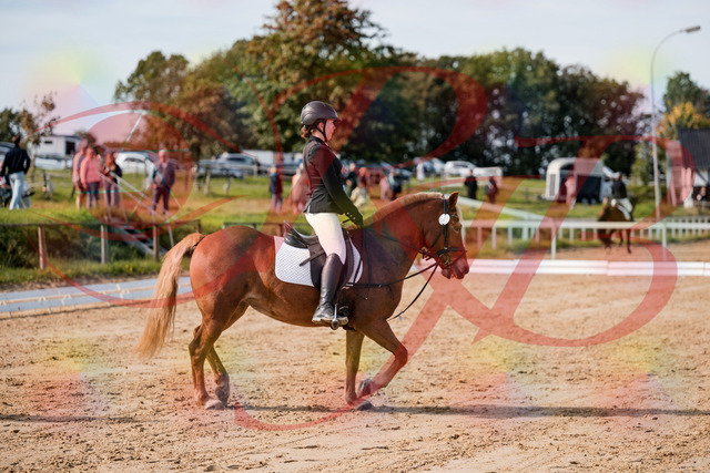 2026_10_03_Siefer-Hof_122018_Z63_42766532 | Professionelle Reitsport-, Turnier- und Eventfotografie von Robert Broda. Galerien mit ausgewählten und bearbeiteten Bildern direkt online ansehen und bestellen.