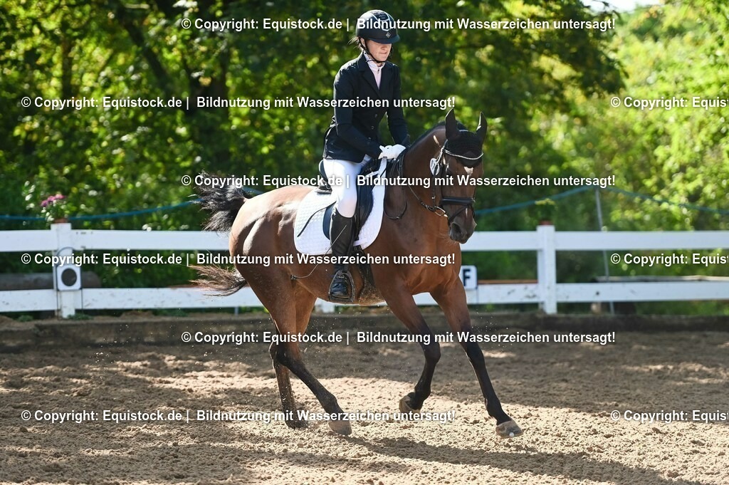 20230716_04_Dressurreiterprüfung Kl.A_0113 | equistock