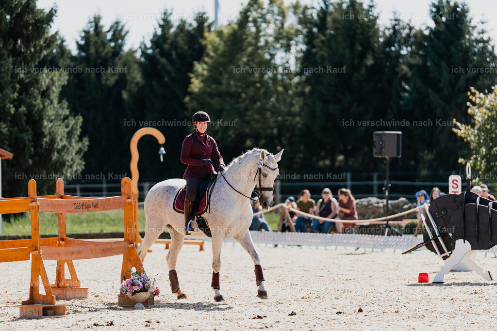 Kelly4_FHC2025-08843 | working equitationturnier fotograf videograf stoibphotography marixx film working equitation deutschland reitsport turnierfotografie eventfotografie equestrian events