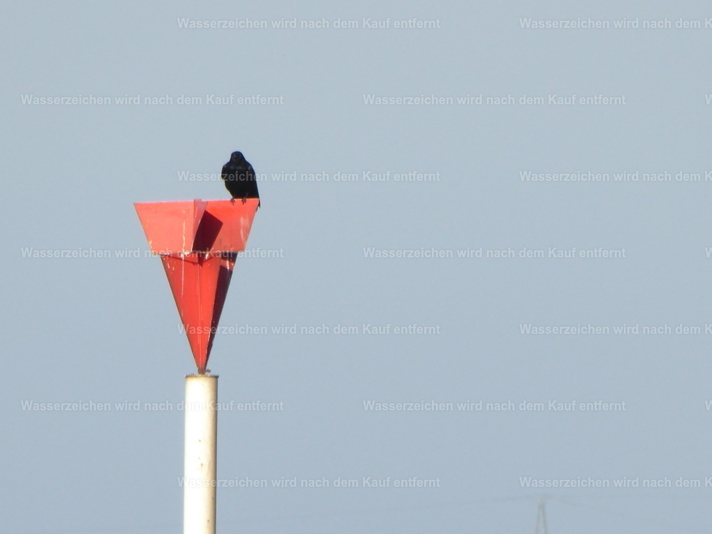 P1000535 | Entdecken Sie die faszinierende Welt von Norbert Michels: Surreale Kunstwerke, hochwertige Fotos, Leinwandbilder & Fotoprodukte wie Tassen mit bild7 - Realisiert mit Pictrs.com