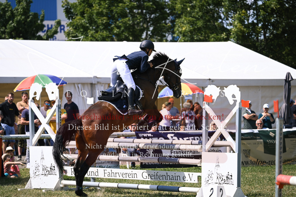DSC_0108 | Pferde- und Turnierfotografie in Westsachsen. Pferdeportraits, Auftragszeichnungen und intuitive Kunst.