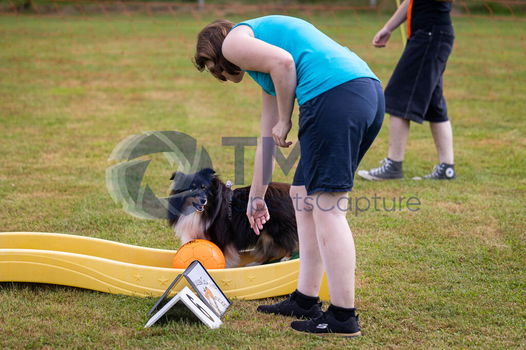 TP-20240815-0038 | Copyright: Trainproduction / Matthias Trinkl