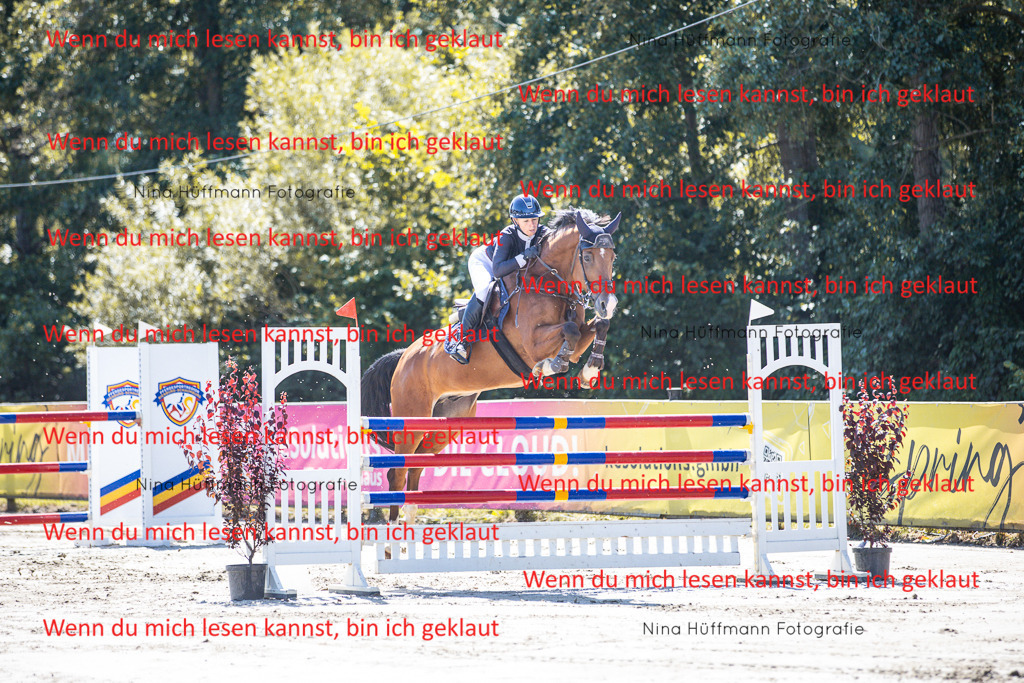 BK1A6239 | Turnierbilder Turnierfotos Nina Hüffmann Turnierfotografie Pferdefotografie Tierzeichnung Haustierzeichnung Pferdezeichnung Hundezeichnung Videograf  - Realisiert mit Pictrs.com