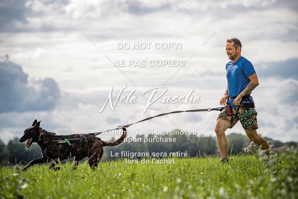 nelerasche_DoN_175 | nelerasche