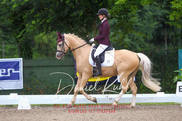 DKP41666 | Turniersportfotografie; Pferdefotografie; Dressurfotografie