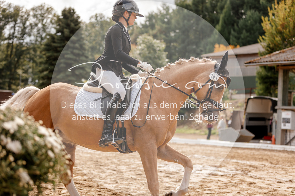 3I6A7352 | Stimmungsvolle Portraits und Reitsportfotografie im Ruhrgebiet und im Münsterland.

Pferdefotografie, Hundefotografie, Tierfotografie, Reportagen, Portraits von Tier und Mensch, Turnierfotografie in Bochum, Recklinghausen, Marl, Haltern am See, Dülmen.. - Realisiert mit Pictrs.com