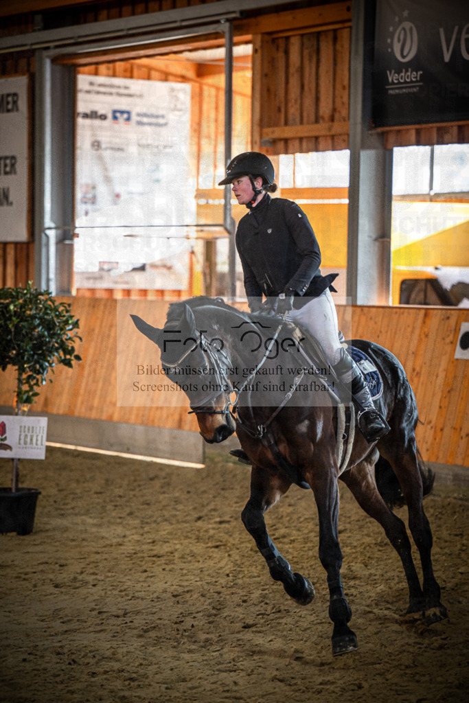 DOS_1755 | Entdecke hochwertige Reitturnierfotos von Foto Oger. Professionell, emotional und authentisch – jetzt Lieblingsmomente im Shop bestellen.Deutschlandweite Turnierfotografie. - Realisiert mit Pictrs.com