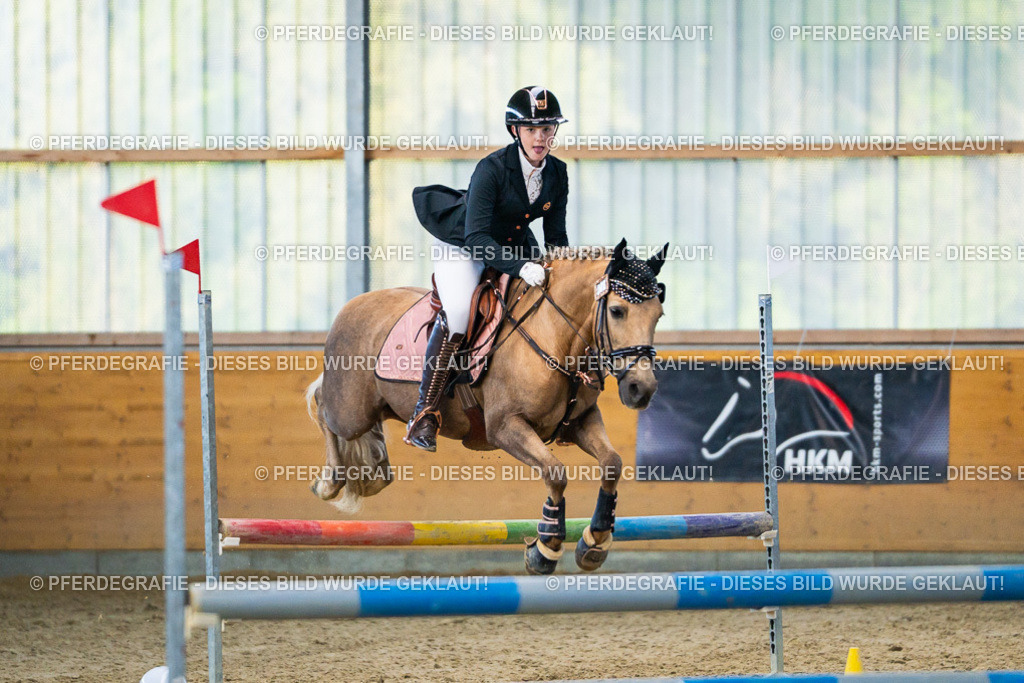 DSC00703 | Pferdegrafie