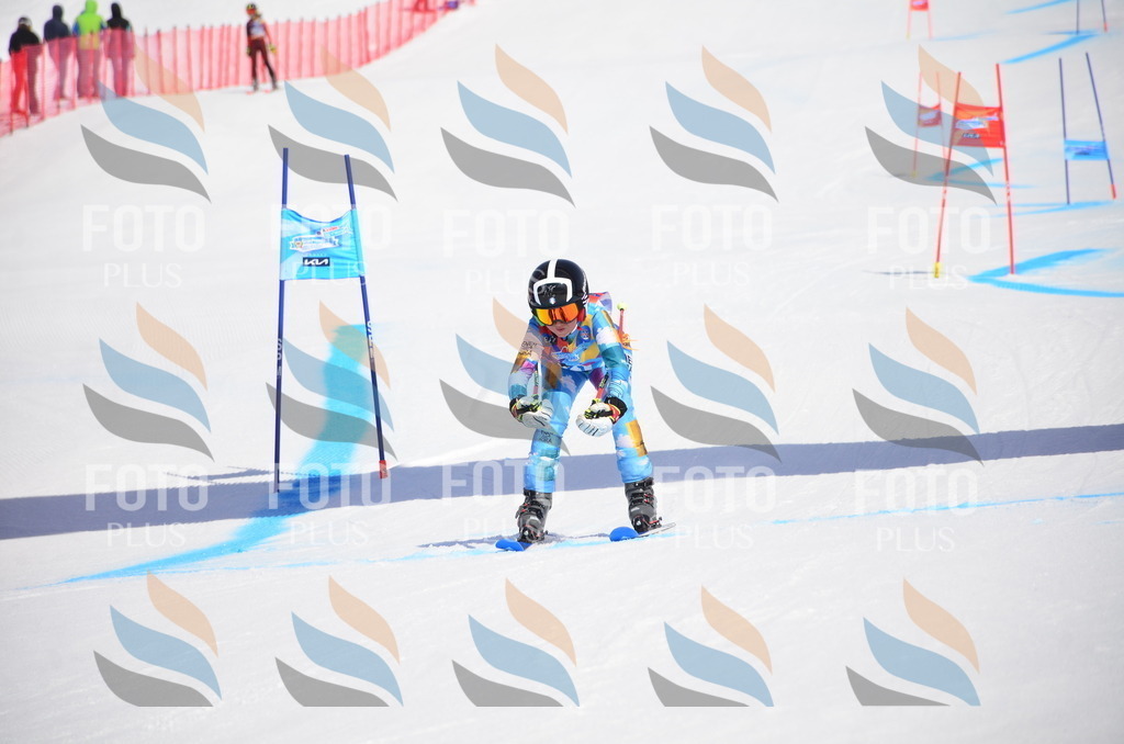 VR4_0051 | holidayphoto