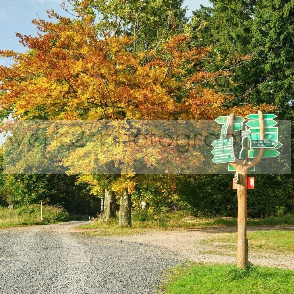 Herbstlauf 2017 | Neuhaus/Rwg. - Masserberg am 1. Oktober 2017