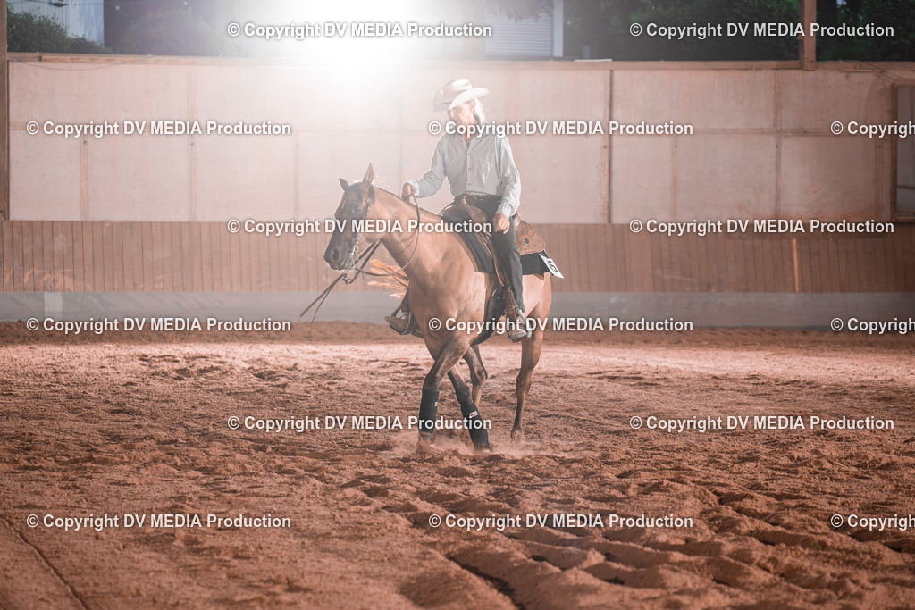 NE201481 | dv-media-shop - Realisiert mit Pictrs.com