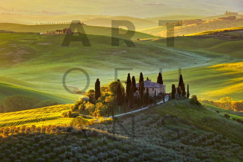 Ein Hans Fineart Original | Entdecke die Kunst von Hans Fineart - Fotografien für dein Zuhause. Verwandle deine Wände mit einzigartigen Kunstwerken und bringe die Schönheit der Welt in dein Leben. Bestelle jetzt und schaffe einen Ort der Inspiration und Eleganz.