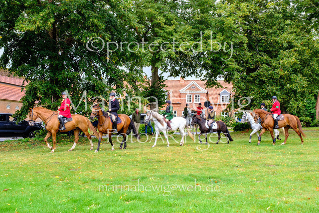 Jagd Kletkamp 26-9453_MarinaHewig | Fotografie, FotoArt, PferdesportArt, Pferdesportfotografie, Landschaftsfotografie, Reisefotografie, Reise, Pferde - Realisiert mit Pictrs.com