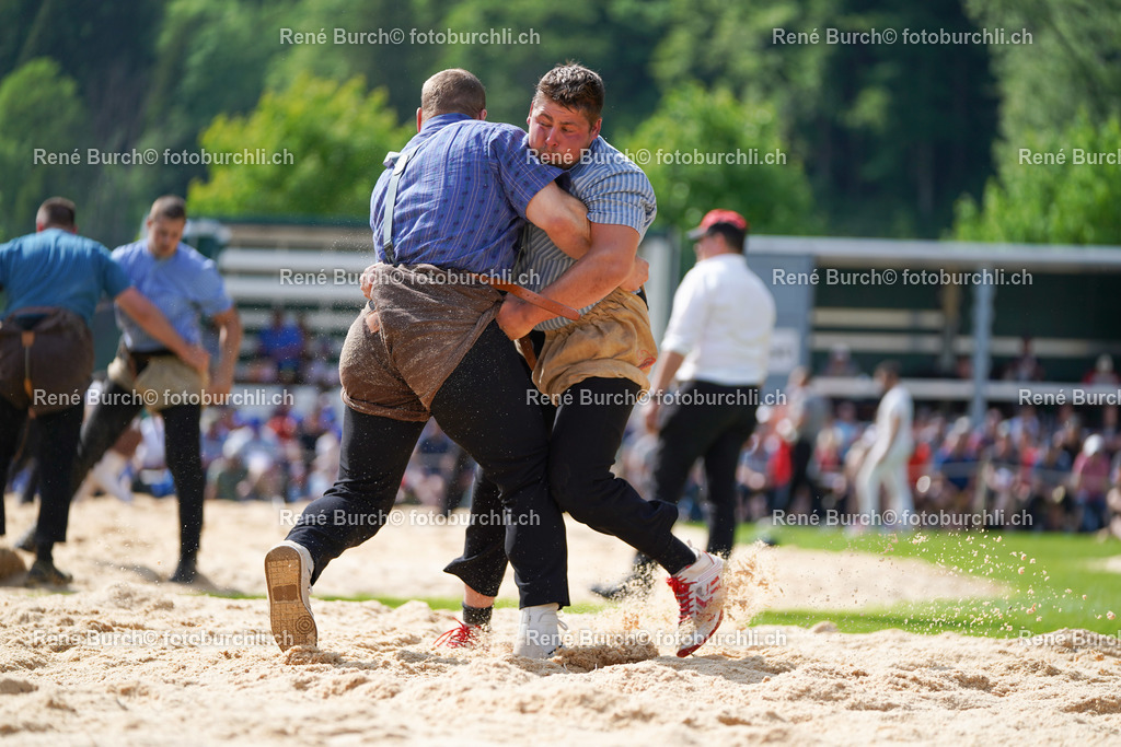20220515-DSC08013 | René Burch leidenschaftlicher Fotograf aus Kerns in Obwalden.  Hier finden sie Sport, Landschaft und Natur Fotografie.
 - Realisiert mit Pictrs.com