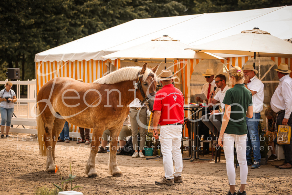 SaSieger00032 | Leoni Ertmer Photography - Realisiert mit Pictrs.com