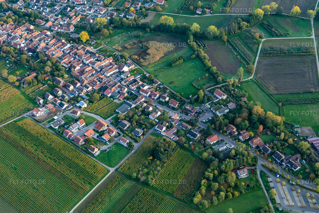 Luftbild: Weinhaus Fabio in Göcklingen im Bundesland Rheinland-Pfalz in Deutschland. Foto: IMG_135133.jpg vom 22.10.2022 durch Werner Riehm/FLY-FOTO.de