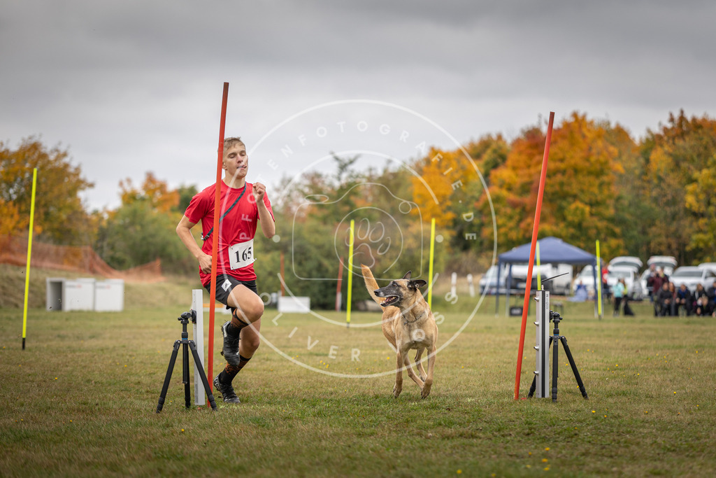 Pfotenfotografie_DV3A5276 | Hundefotografie, Tierfotograf, Pfotenfotografie, Fotoshooting Hund, Hunde Portrait, Hundesport, Hundeportraits, Heideshooting, Hunde, Sportfotograf, Hundefotograf, Turnierhundsport, THS,  - Realisiert mit Pictrs.com