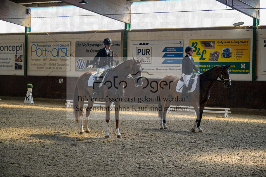 Reitturnier Voxtrup | Entdecke hochwertige Reitturnierfotos von Foto Oger. Professionell, emotional und authentisch – jetzt Lieblingsmomente im Shop bestellen.Deutschlandweite Turnierfotografie. - Realisiert mit Pictrs.com