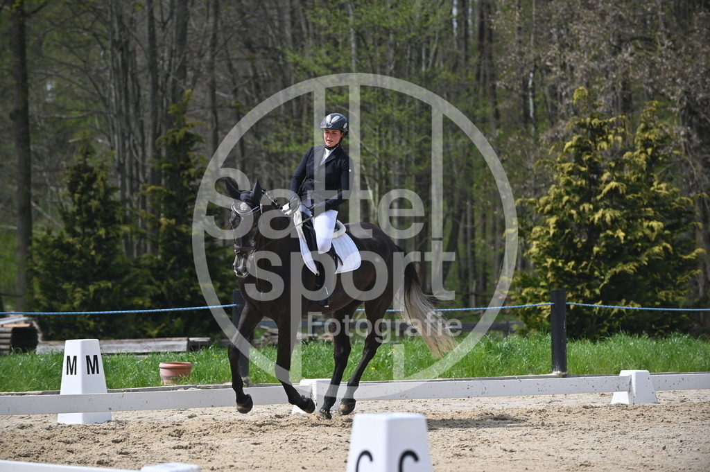 DSC_3054 | sattelsport - Realisiert mit Pictrs.com