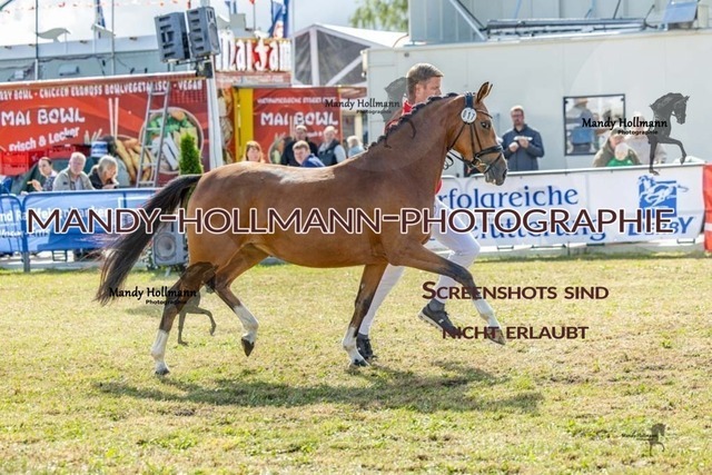 26-8-22 Brillantring-86 | mandyhollmannphotographie