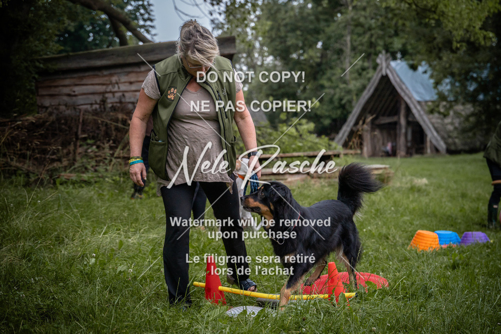 nelerasche_SoEarlyDog_07 | nelerasche