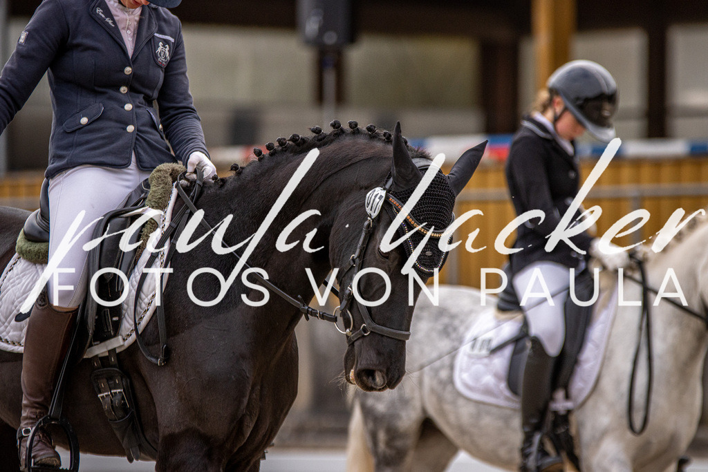 IMG_3013 | Erleben Sie dynamische Sport- und emotionale Tierfotografie in Süddeutschland mit Fotos von Paula. Spezialisiert auf Pferde- und Hundefotografie sowie Sportevents. Kontaktieren Sie mich für einzigartige und ausdrucksstarke Bilder Ihrer besonderen Momente. - Realisiert mit Pictrs.com