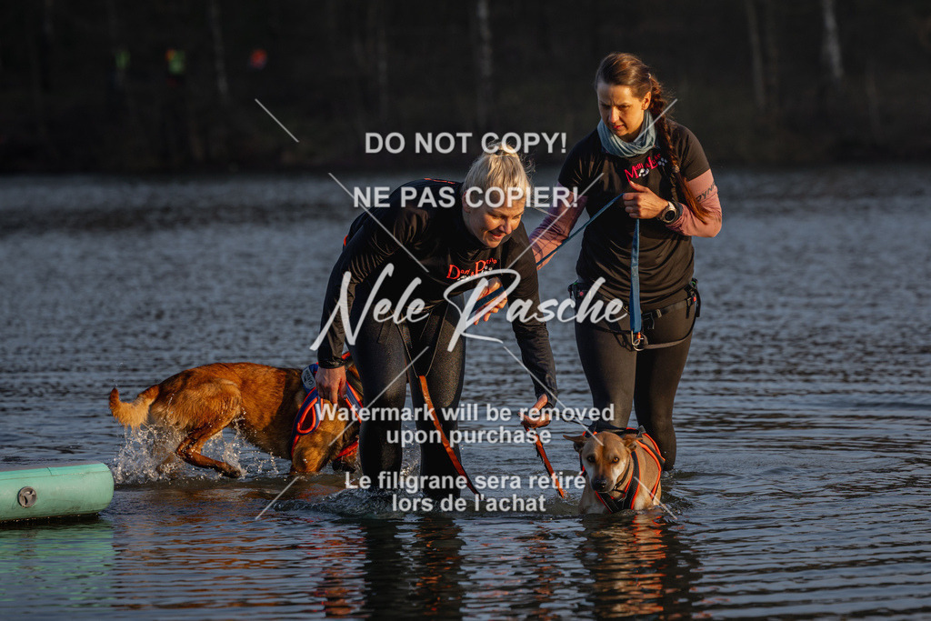 nelerasche_Hulsbeek_Sa1730-Ende_245 | nelerasche