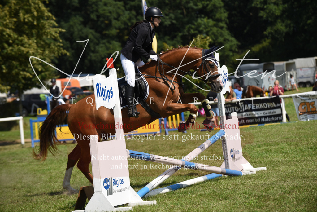 DSC_0024 | Pferde- und Turnierfotografie in Westsachsen. Pferdeportraits, Auftragszeichnungen und intuitive Kunst.