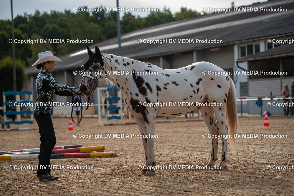 EWP_5592 | dv-media-shop - Realisiert mit Pictrs.com