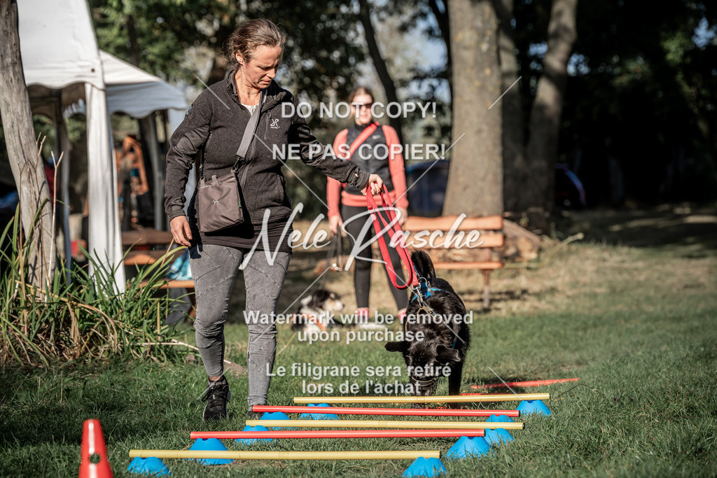 nelerasche_slaw24Sa_73 | nelerasche