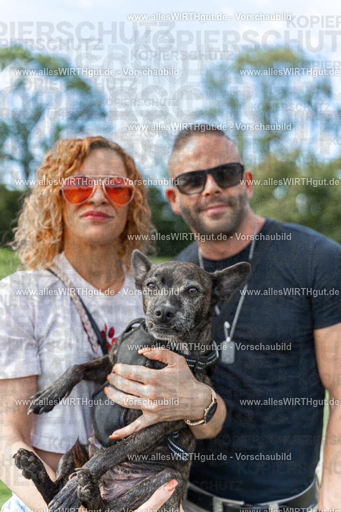 Hundeschwimmen_Volksbad_2026-allesWIRTHgut_Tierfotografie-2609061528-7R501553-2 | Professionelle Tierfotografie in Mönchengladbach von Daniel Wirth (allesWIRTHgut). Liebevolle & natürliche Bilder von Hunden & Katzen für unvergessliche Erinnerungen.